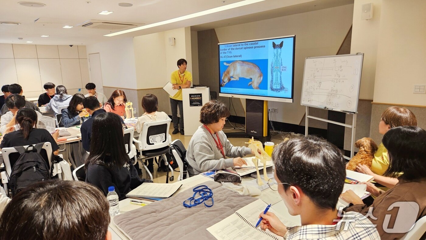 본문 이미지 - 침치료인증수의사 수업이 21일 서울 강남구 VIP동물한방재활의학센터 by Dr. 신사경에서 열렸다. ⓒ 뉴스1 최서윤 기자