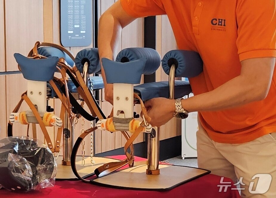 본문 이미지 - 펫니스는 21일 서울 강남구 VIP동물한방재활의학센터 by Dr. 신사경에서 동물 전용 전침틀을 선보였다. ⓒ 뉴스1 최서윤 기자