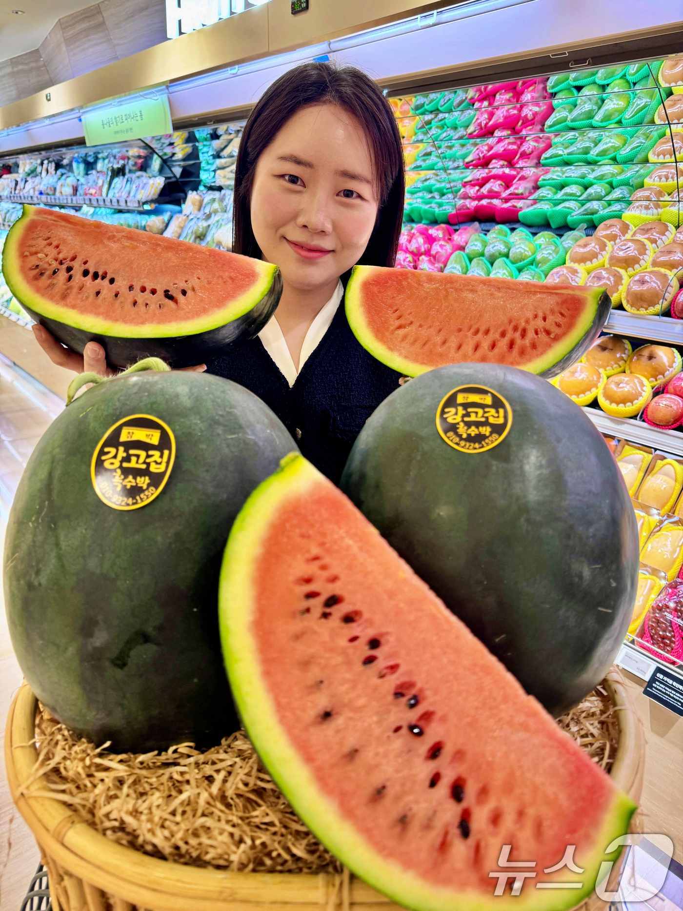 (서울=뉴스1) = 롯데백화점이 오는 30일까지 본점과 잠실점을 비롯한 수도권 전점에서 함안 강고집 흑피수박을 판매한다고 22일 밝혔다.모델이 22일 서울 중구 롯데백화점 본점에서 …