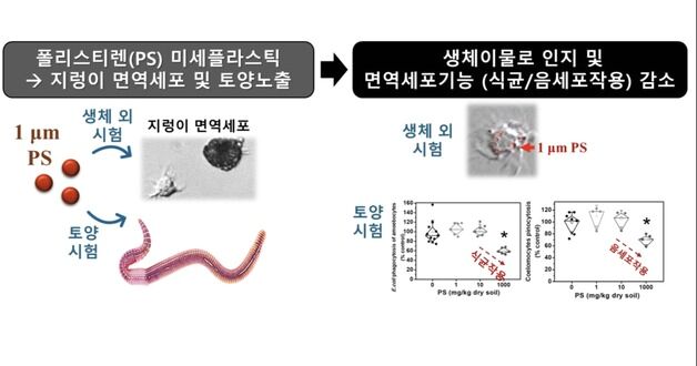 '미세플라스틱 오염' 토양에 장시간 노출되면 면역기능 '저하'