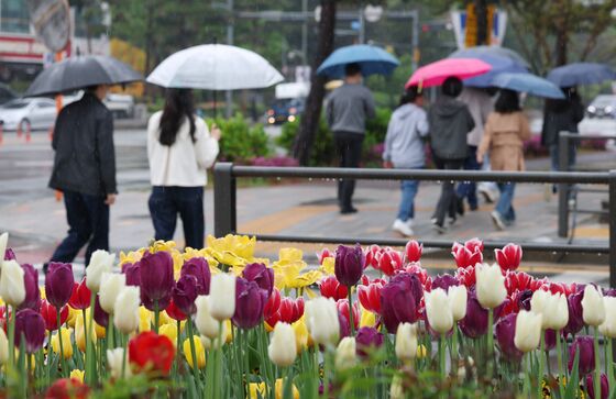 [오늘의 날씨]울산(6일, 화)…연휴 마지막날 5㎜ 내외 비