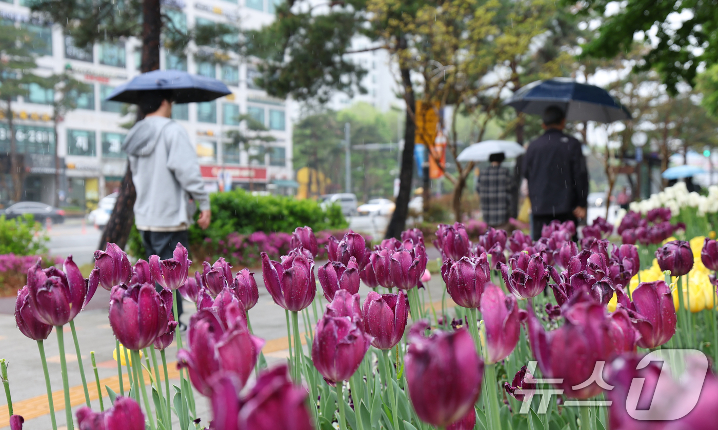 (수원=뉴스1) 김영운 기자 = 봄비가 내린 22일 오후 경기 수원시의 한 거리에서 시민들이 우산을 쓰고 지나가고 있다. 2025.4.22/뉴스1