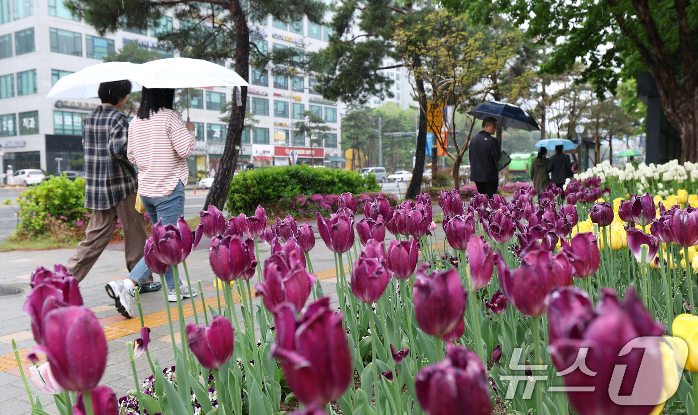 (수원=뉴스1) 김영운 기자 = 봄비가 내린 22일 오후 경기 수원시의 한 거리에서 시민들이 우산을 쓰고 지나가고 있다. 2025.4.22/뉴스1