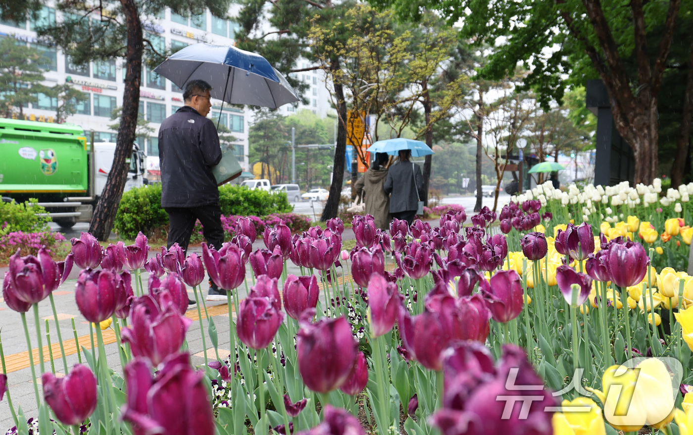 (수원=뉴스1) 김영운 기자 = 봄비가 내린 22일 오후 경기 수원시의 한 거리에서 시민들이 우산을 쓰고 지나가고 있다. 2025.4.22/뉴스1