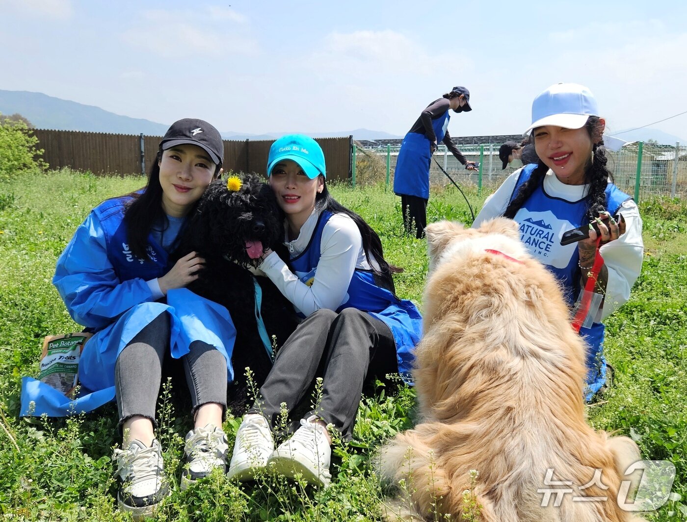 본문 이미지 - 블루엔젤봉사단은 20일 유실유기동물보호소에서 봉사활동을 진행했다. ⓒ 뉴스1 최서윤 기자