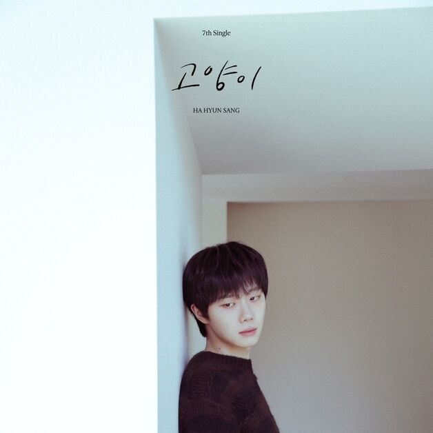 하현상, 23일 새 싱글 '고양이' 발매…힐링송으로 전할 위로
