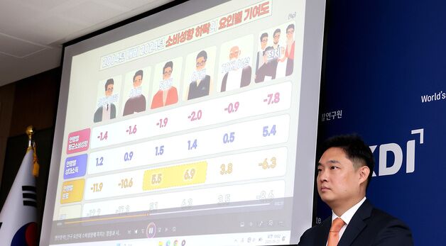 KDI, 인구 요인이 소비성향에 미치는 영향 발표