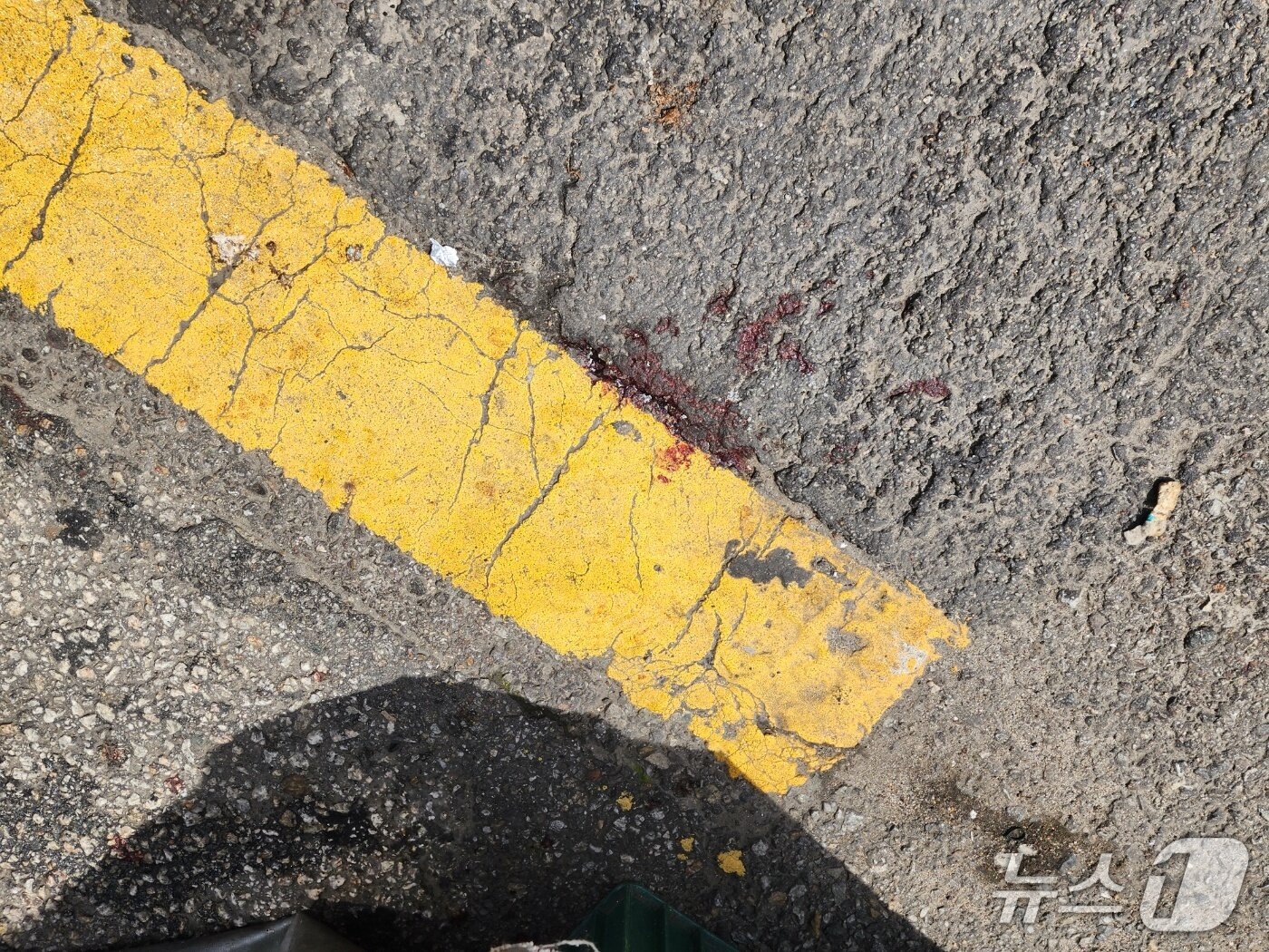 본문 이미지 - 사건이 발생한 마트 앞에 남아 있는 혈흔 / 뉴스1 권진영 기자