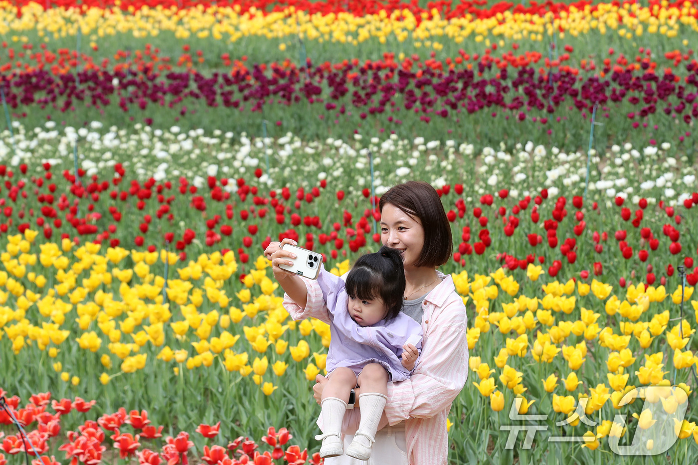 (대구=뉴스1) 공정식 기자 = 23일 오후 대구 달서구 테마파크 이월드를 찾은 아이와 엄마가 유럽식 정원을 연상케 하는 약 3만3057㎡(1만 평) 규모의 포시즌가든에 곱게 핀 …