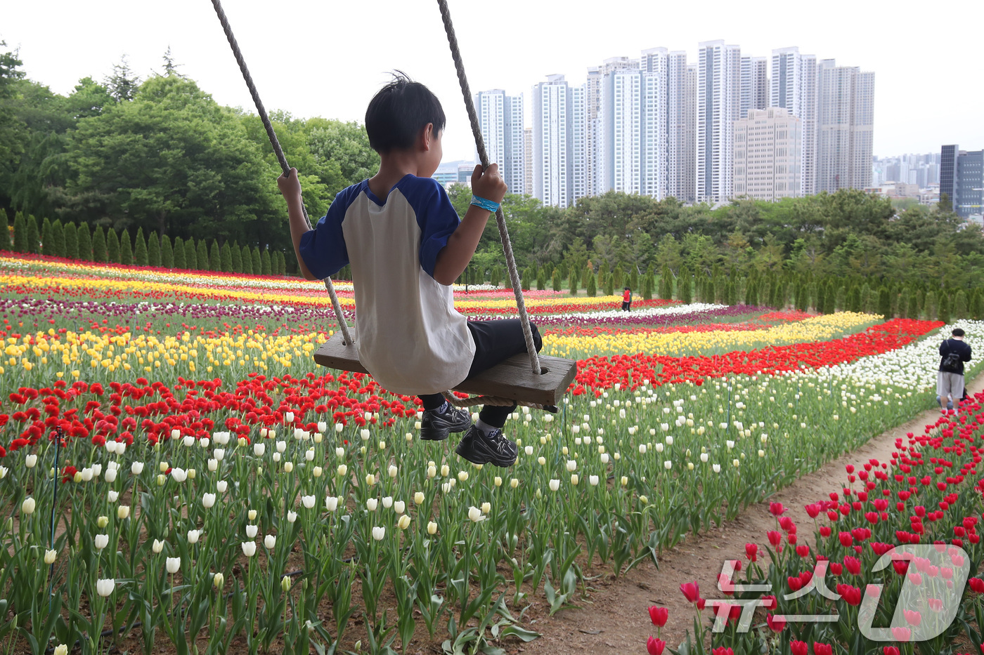 (대구=뉴스1) 공정식 기자 = 23일 오후 대구 달서구 테마파크 이월드를 찾은 아이가 유럽식 정원을 연상케 하는 약 3만3057㎡(1만 평) 규모의 포시즌가든에 곱게 핀 튤립 위 …