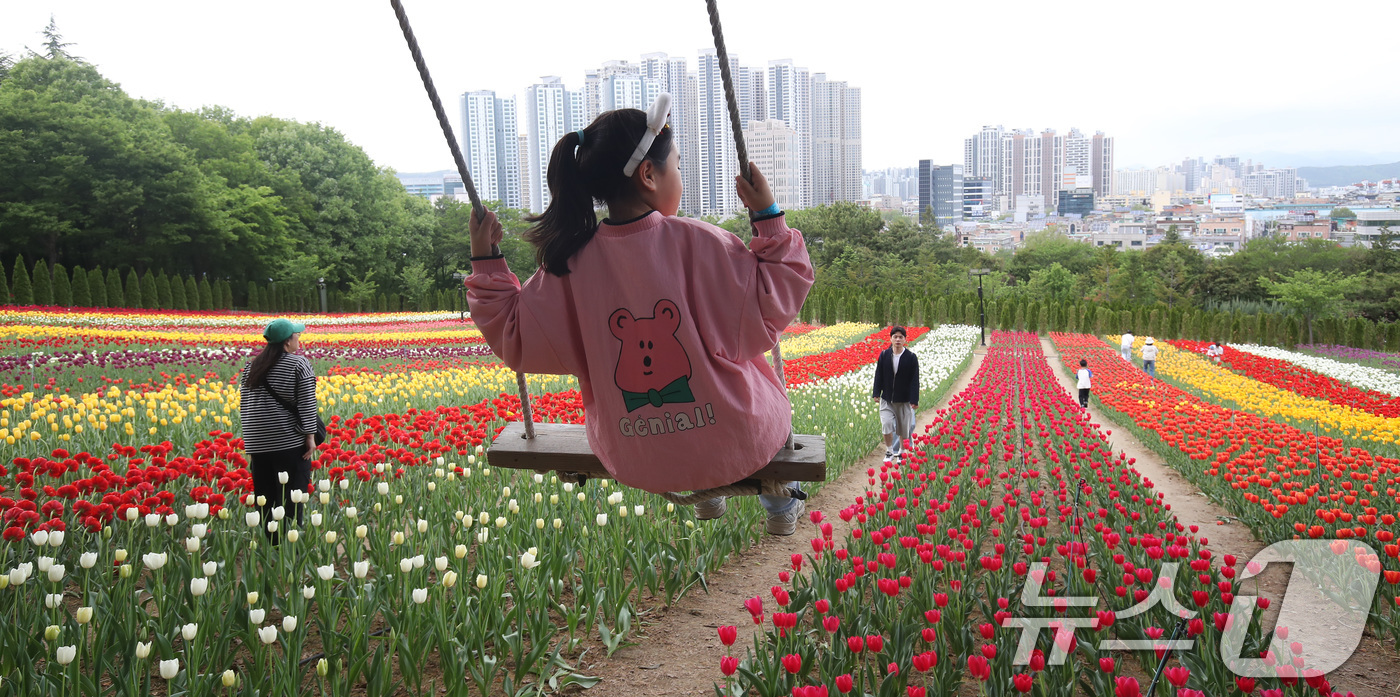 (대구=뉴스1) 공정식 기자 = 23일 오후 대구 달서구 테마파크 이월드를 찾은 아이가 유럽식 정원을 연상케 하는 약 3만3057㎡(1만 평) 규모의 포시즌가든에 곱게 핀 튤립 위 …