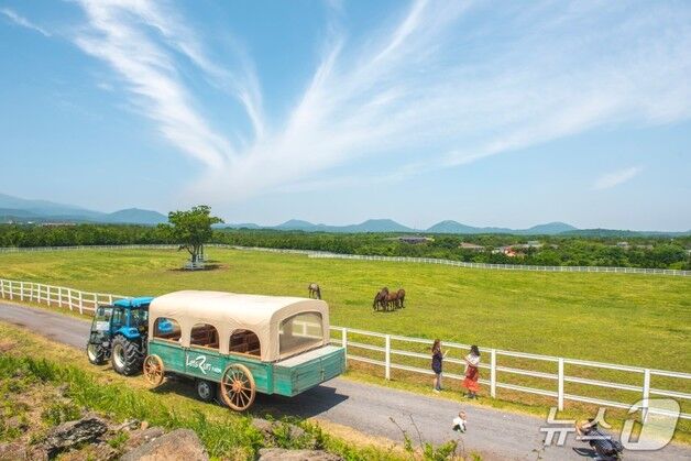 "제주목장서 웨딩사진 찍고 상금 100만원 받으세요"