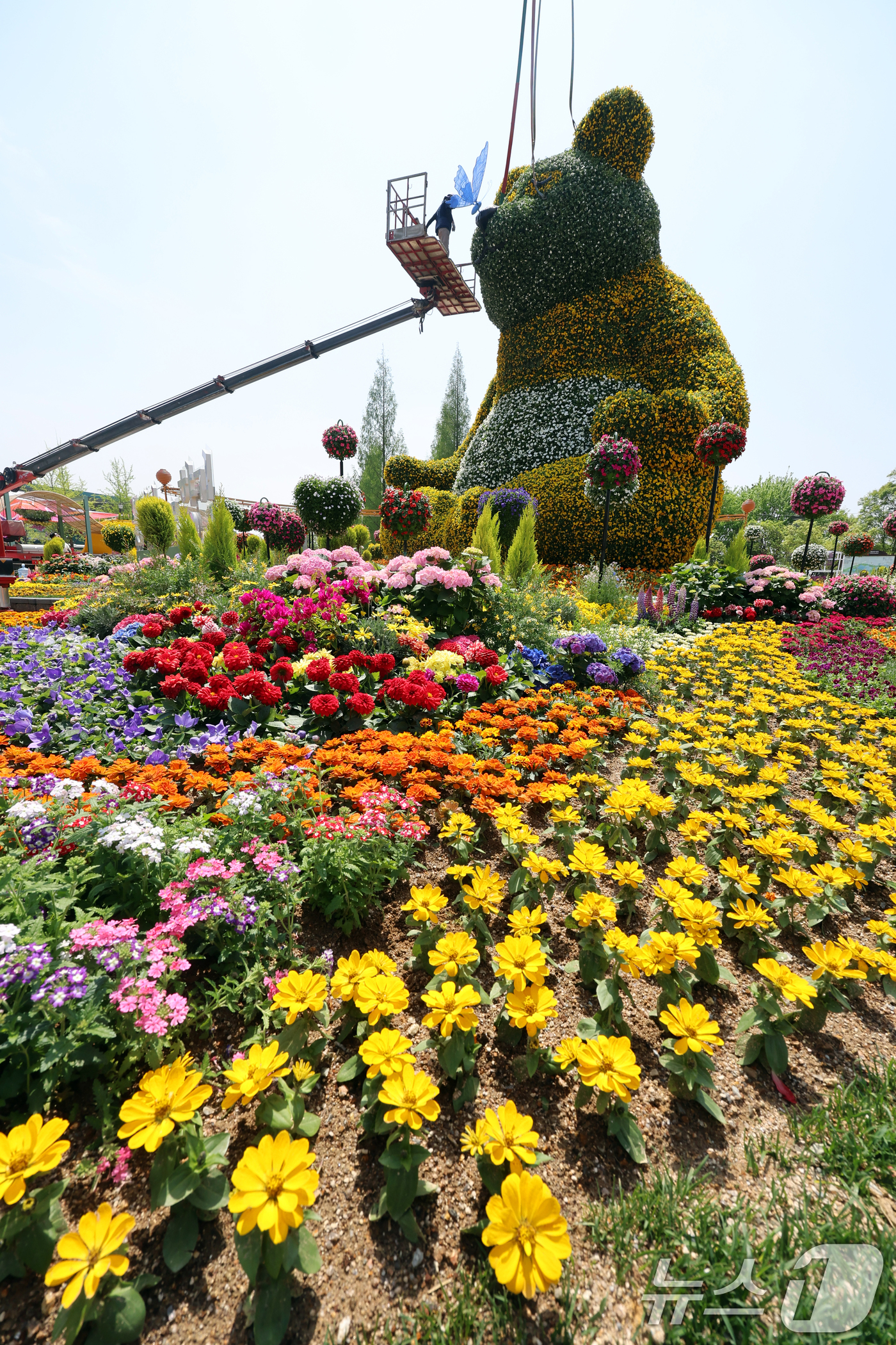 (고양=뉴스1) 황기선 기자 = '2025 고양 국제꽃박람회' 개막을 하루 앞둔 24일 경기 고양시 일산동구 일산호수공원에서 관계자들이 정원을 꾸미고 있다.오는 25일 개막해 다음 …