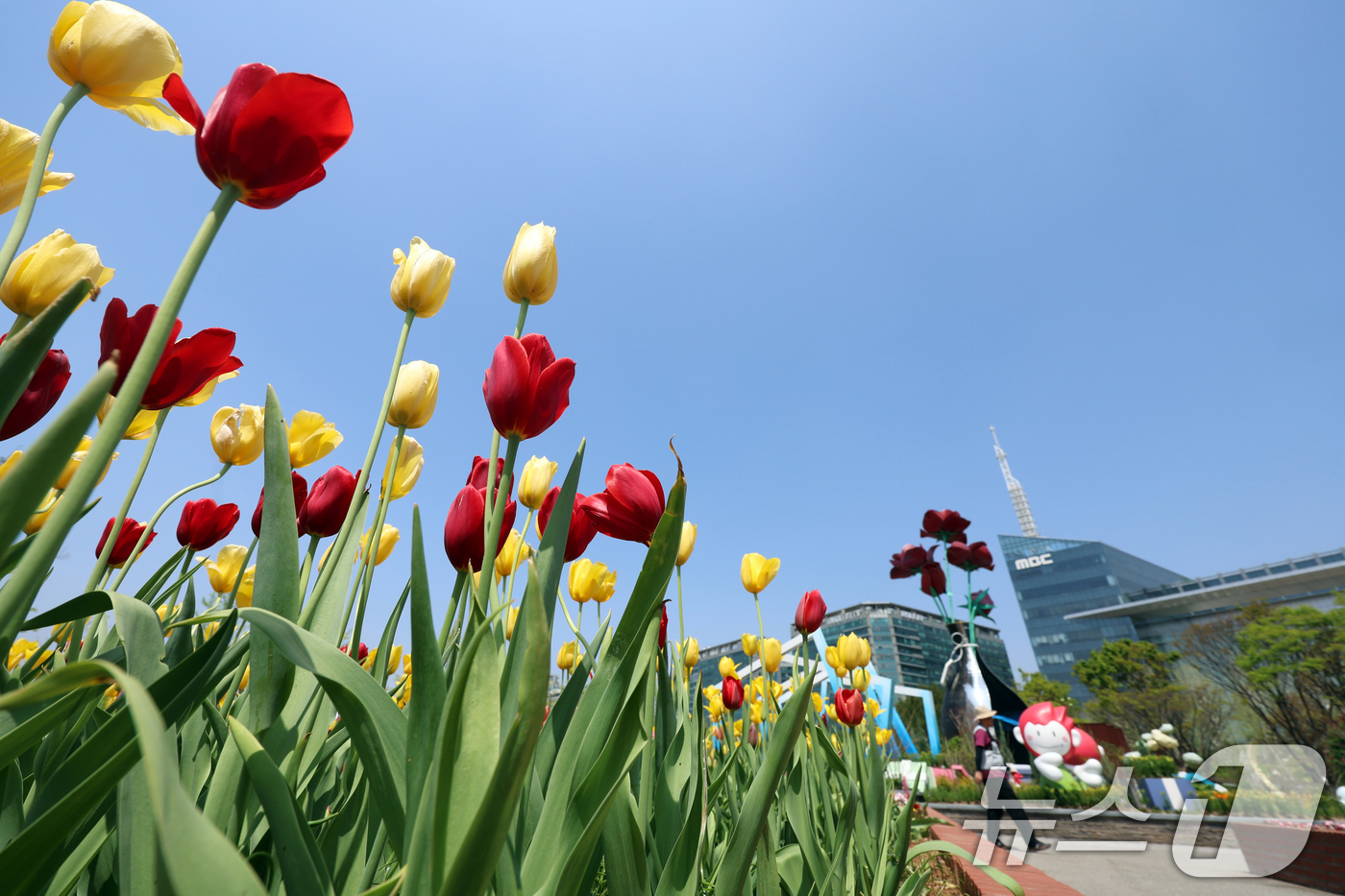 (고양=뉴스1) 황기선 기자 = '2025 고양 국제꽃박람회' 개막을 하루 앞둔 24일 경기 고양시 일산동구 일산호수공원에 정원이 꾸며져 있다. 오는 25일 개막해 다음달 11일까 …