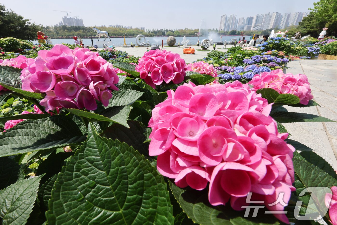 본문 이미지 - &#39;2025 고양 국제꽃박람회&#39; 개막을 하루 앞둔 24일 경기 고양시 일산동구 일산호수공원에 정원이 꾸며져 있다. 2025.4.24/뉴스1 ⓒ News1 황기선 기자