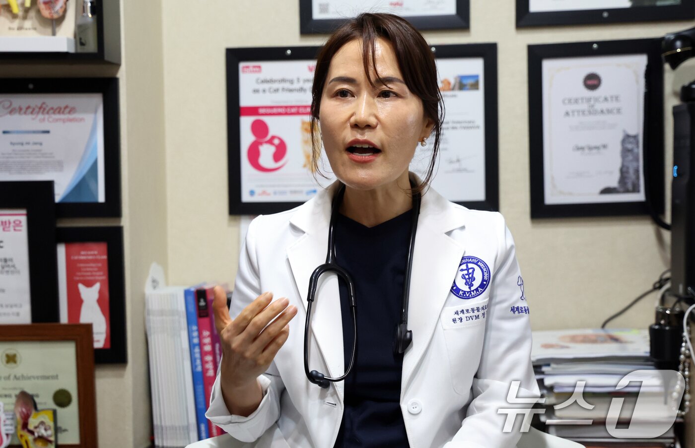 본문 이미지 - 장경미 세계로동물의료센터 원장이 23일 서울 관악구 병원에서 뉴스1과 인터뷰를 하고 있다. ⓒ News1 김명섭 기자