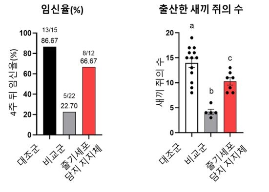 본문 이미지 - 오랜드바이오 제공