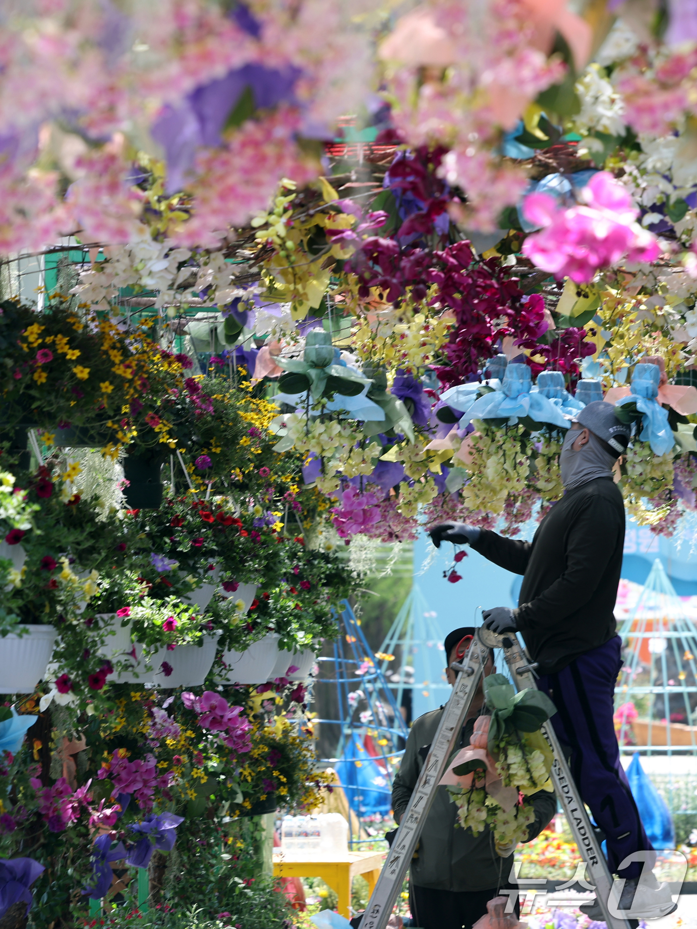 (고양=뉴스1) 황기선 기자 = '2025 고양 국제꽃박람회' 개막을 하루 앞둔 24일 경기 고양시 일산동구 일산호수공원에서 관계자들이 정원을 꾸미고 있다.오는 25일 개막해 다음 …