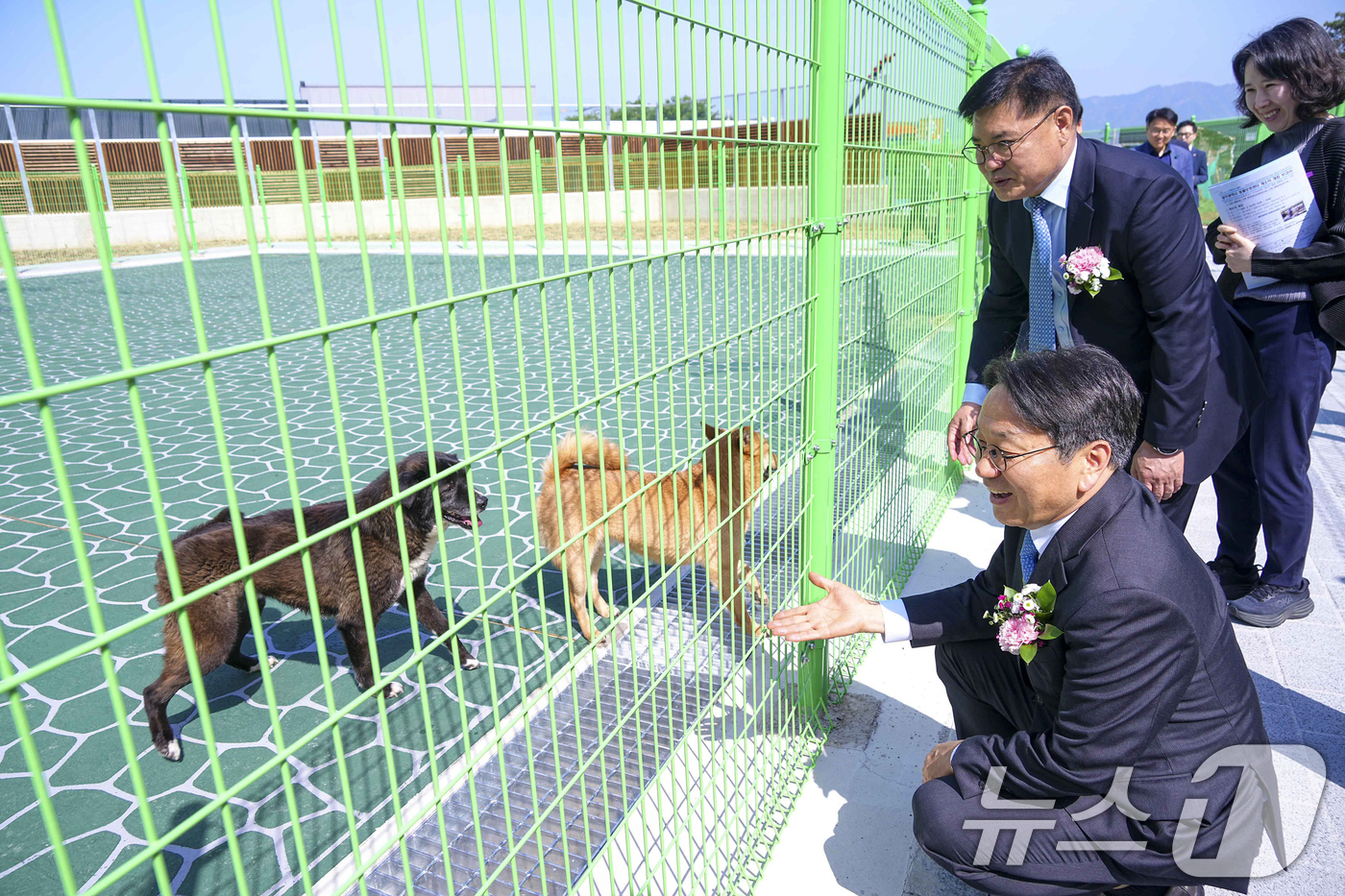 (광주=뉴스1) 박준배 기자 = 강기정 광주시장이 24일 오전 북구 본촌동에 들어선 '광주시 동물보호센터 개소식'에 참석해 센터에서 돌보고 있는 유기견을 살펴보고 있다.(광주시 제 …