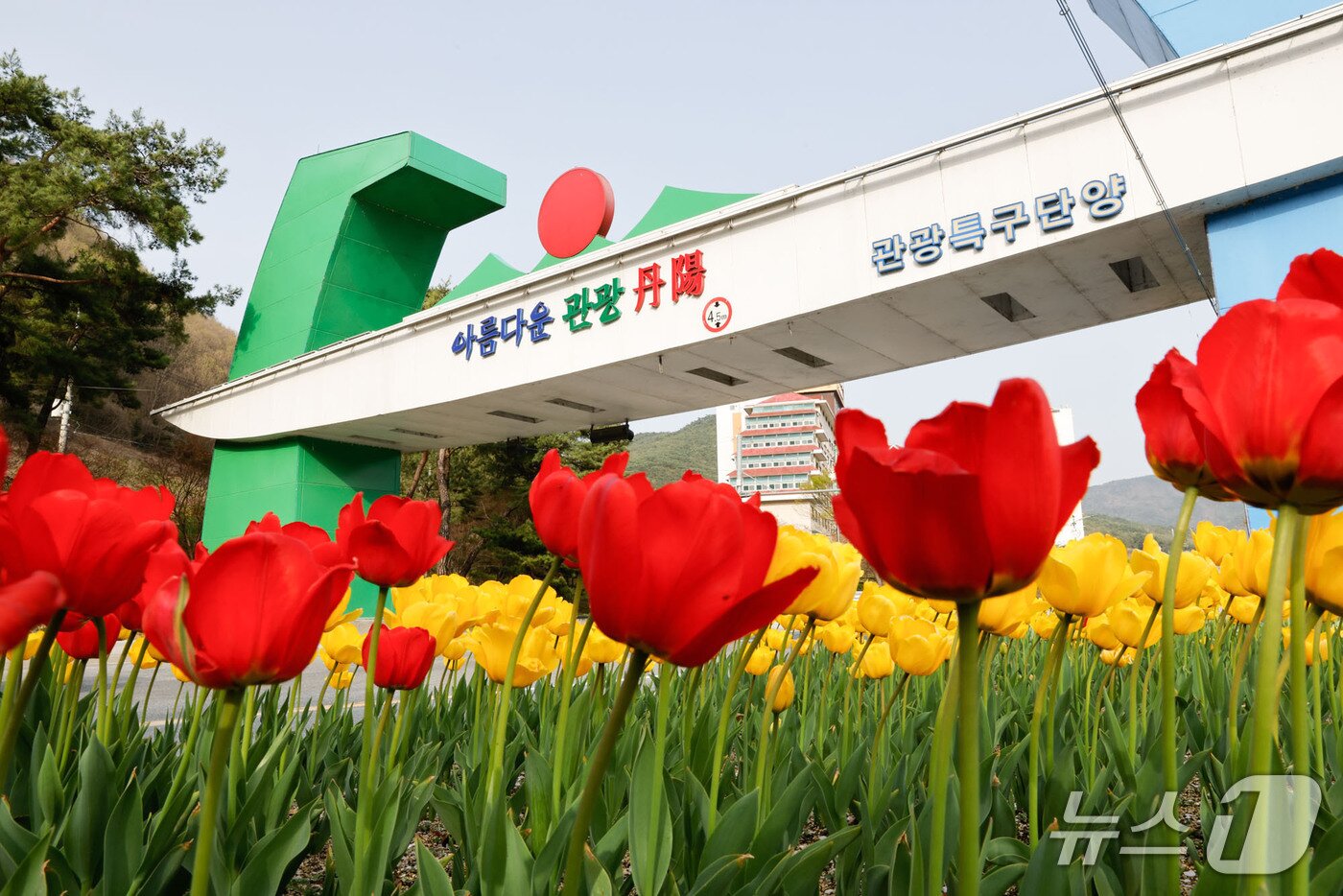 본문 이미지 -
