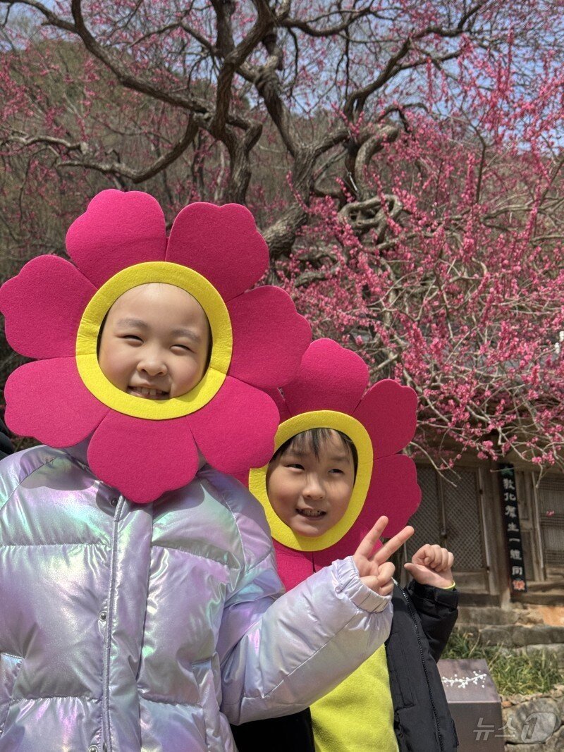 본문 이미지 - 홍매화 _휴대폰사진_최우수상_주지스님상_최석민 씨 작품 &#39;나도 홍매화다!&#39; &#40;화엄사 제공. 재판매 및 DB 금지&#41; 2025.4.25/뉴스1 ⓒ News1 포토공용 기자