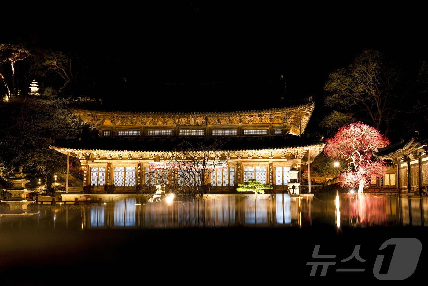 본문 이미지 - 홍매화_전문사진_최우수상_교구장스님상_김찬일 씨 작품 &#39;매화향 가득한 밤&#39; &#40;화엄사 제공. 재판매 및 DB 금지&#41; 2025.4.25/뉴스1 ⓒ News1 포토공용 기자