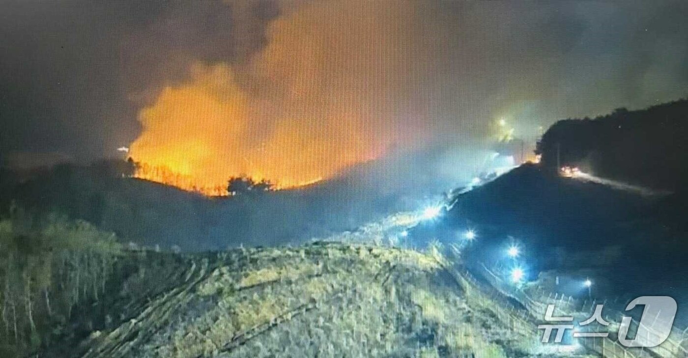 본문 이미지 - 강원 고성군 수동면 외면리 비무장지대(DMZ) 일대 산불 현장.(강원도소방본부 제공, 재판매 및 DB금지)