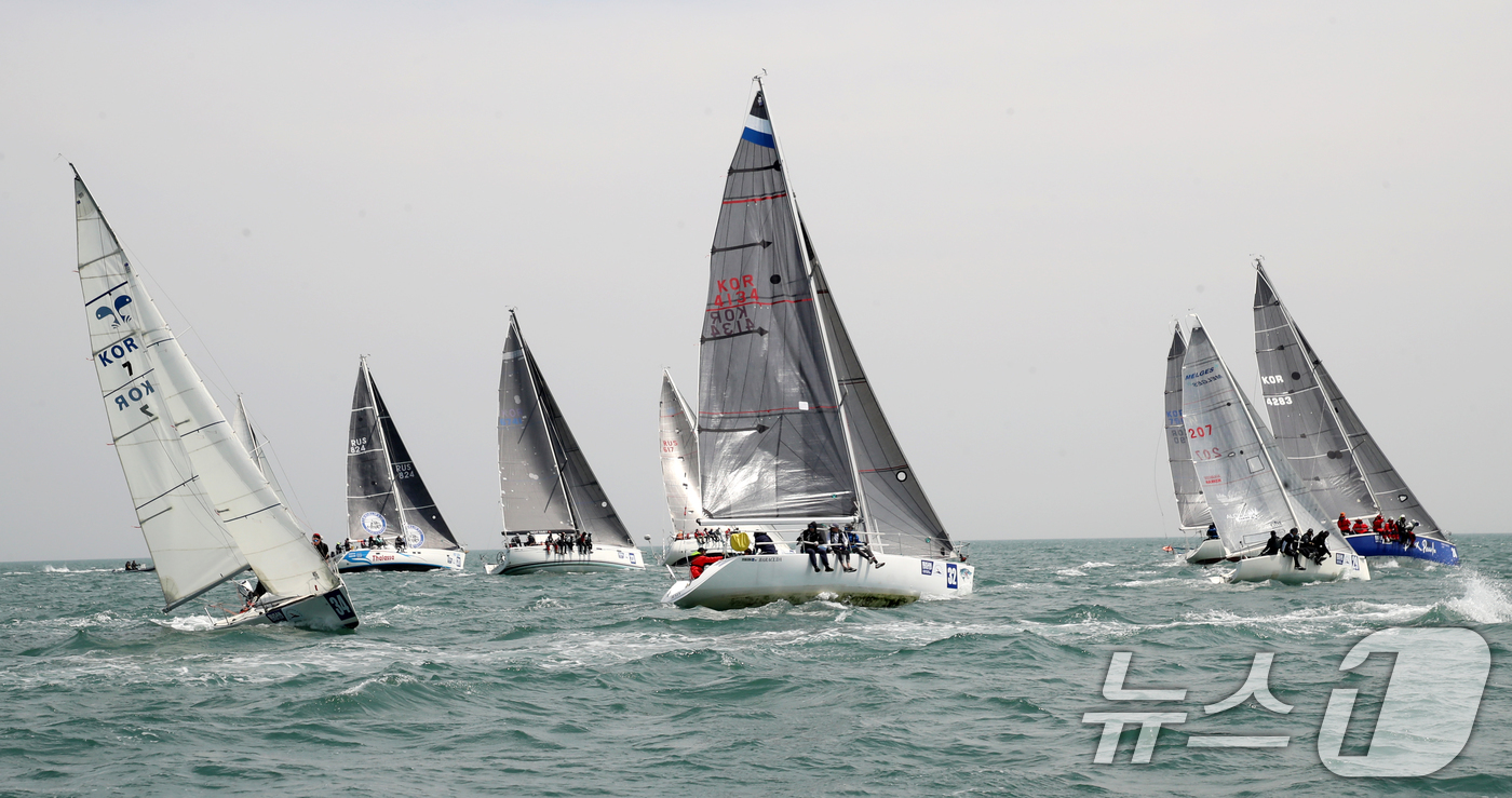(부산=뉴스1) 윤일지 기자 = 25일 부산 수영만 해상에서 열린 '2025 부산슈퍼컵 국제요트대회'에 참가한 요트들이 물살을 가르며 질주하고 있다.올해 20회째를 맞는 부산 슈퍼 …