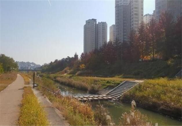 물놀이 초등생 숨진 광주 풍영정천…수년째 보행교 설치 '핑퐁'