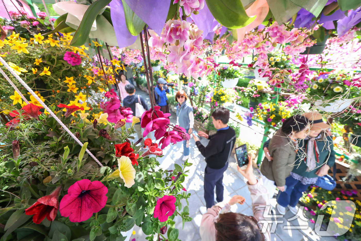 (고양=뉴스1) 민경석 기자 = 25일 오후 경기 고양시 일산동구 일산호수공원에서 열린 '2025 고양 국제꽃박람회'를 찾은 시민들이 봄나들이를 즐기고 있다.다음달 11일까지 열리 …