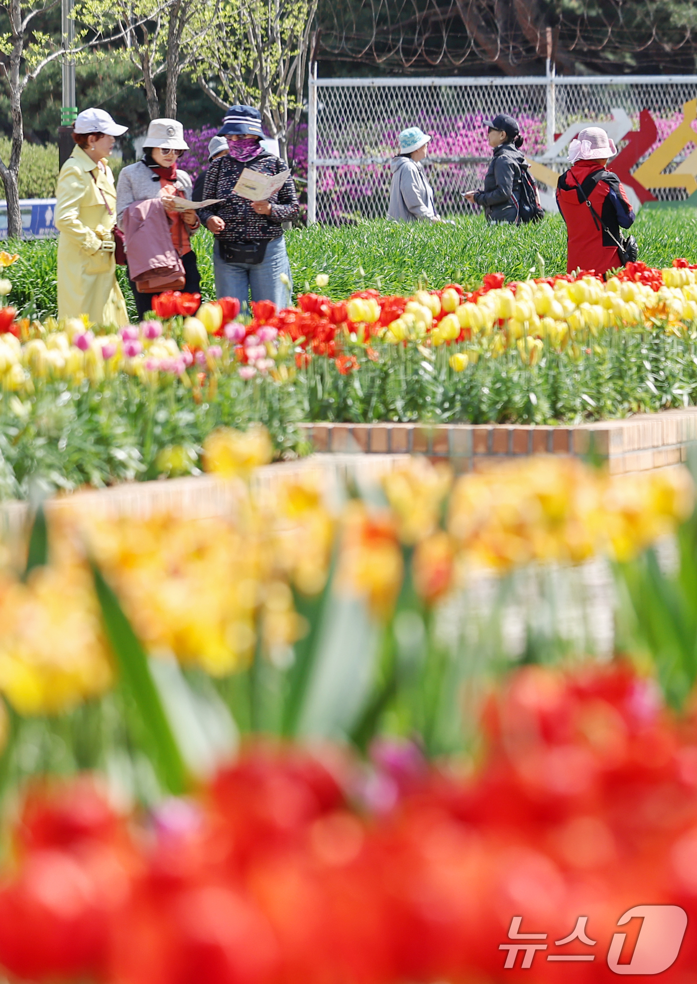 (고양=뉴스1) 민경석 기자 = 24일 오후 경기 고양시 일산동구 일산호수공원에서 열린 '2025 고양 국제꽃박람회'를 찾은 시민들이 봄나들이를 즐기고 있다.' 정원이 꾸며져 있다 …