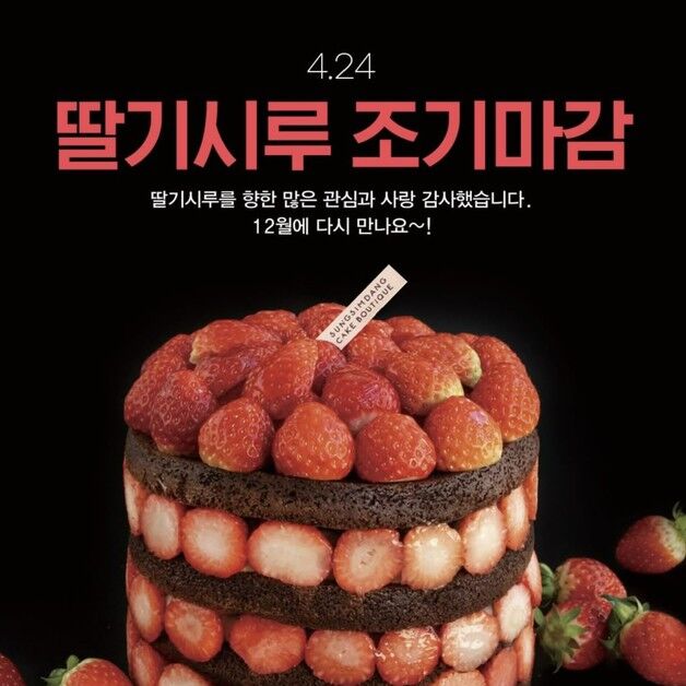 줄서서 사먹던 '딸기시루'에 곰팡이…성심당 판매 조기 종료