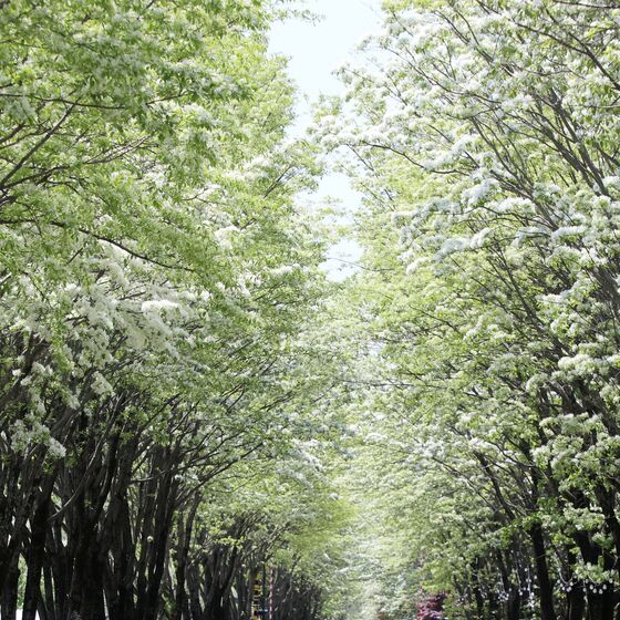 [오늘의날씨]전북(27일,일)…대체로 맑고, 대기 건조 '산불 주의'