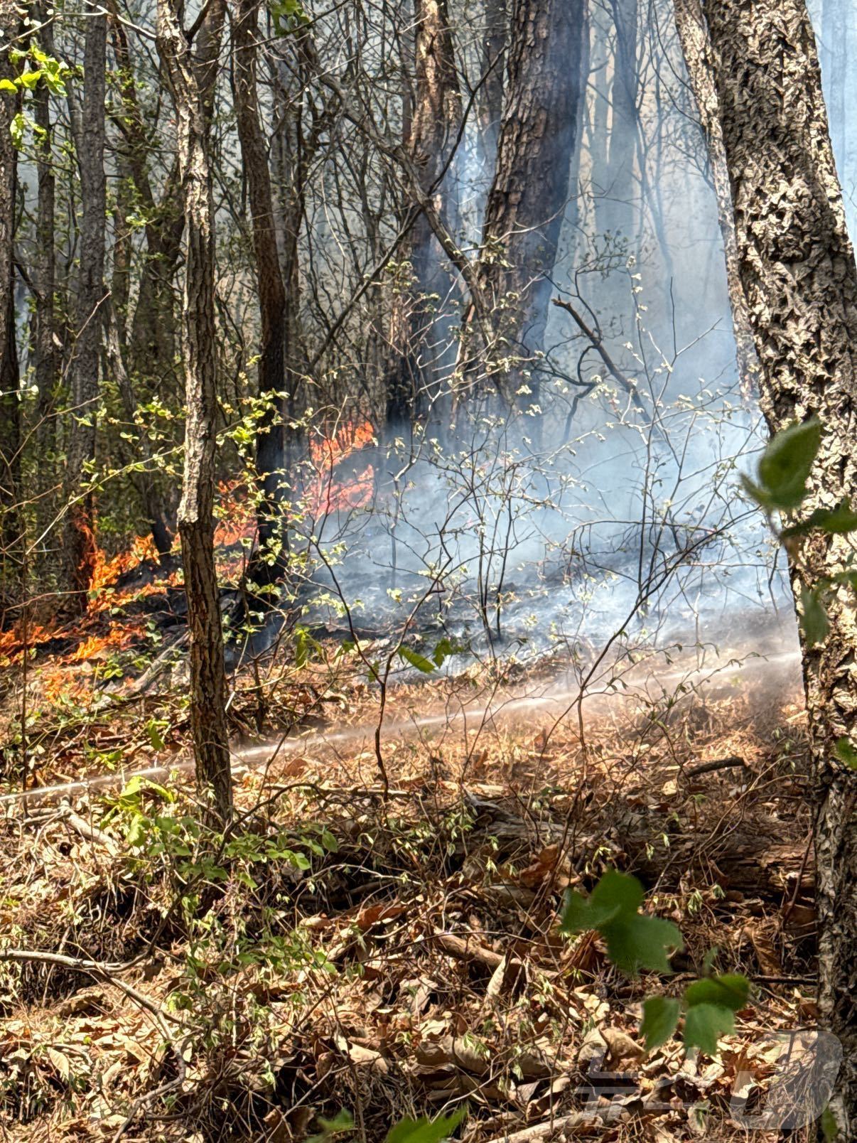 (인제=뉴스1) 윤왕근 기자 = 26일 강원도 인제군 상남면 야산에서 산불이 발생해 연기가 나고 있다. 산불이 확대되자 산림청은 이날 오후 2시 30분을 기해 \'산불 1단계\'를 …