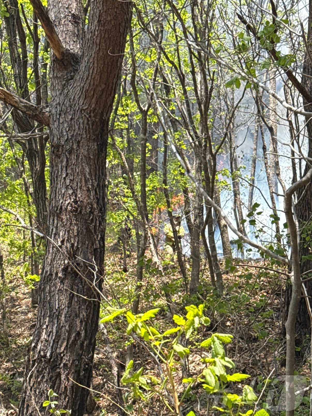 (인제=뉴스1) 윤왕근 기자 = 26일 강원도 인제군 상남면 야산에서 산불이 발생해 연기가 나고 있다. 산불이 확대되자 산림청은 이날 오후 2시 30분을 기해 \'산불 1단계\'를 …