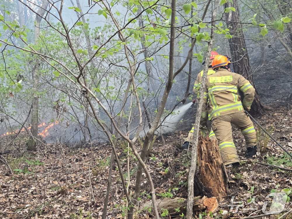 본문 이미지 - 26일 강원도 인제군 상남면 야산에서 산불이 발생해 불꽃과 연기가 피어오르고 있다. (강원도소방본부 제공, 재판매 및 DB 금지) 2025.4.26/뉴스1