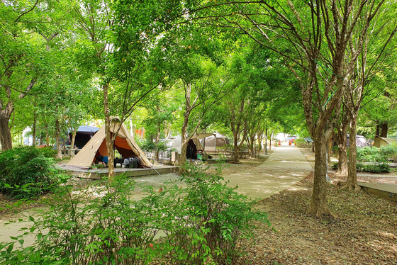 "노쇼하면 예약 제한"…광주시, 시민의숲 야영장 '관리 제도' 도입
