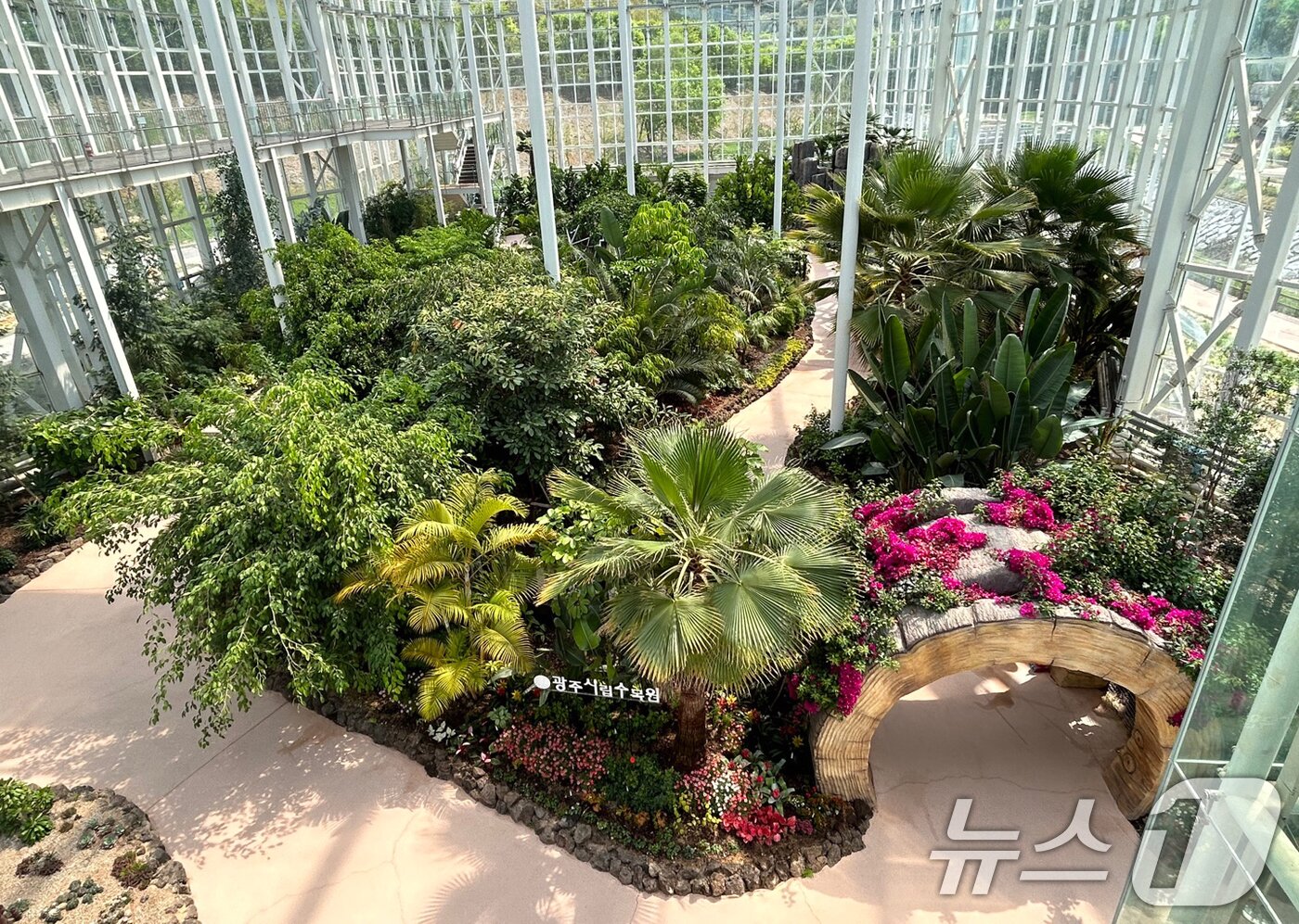 본문 이미지 - 광주시립수목원 전시온실 전경.(광주시 제공. 재판매 및 DB 금지) 