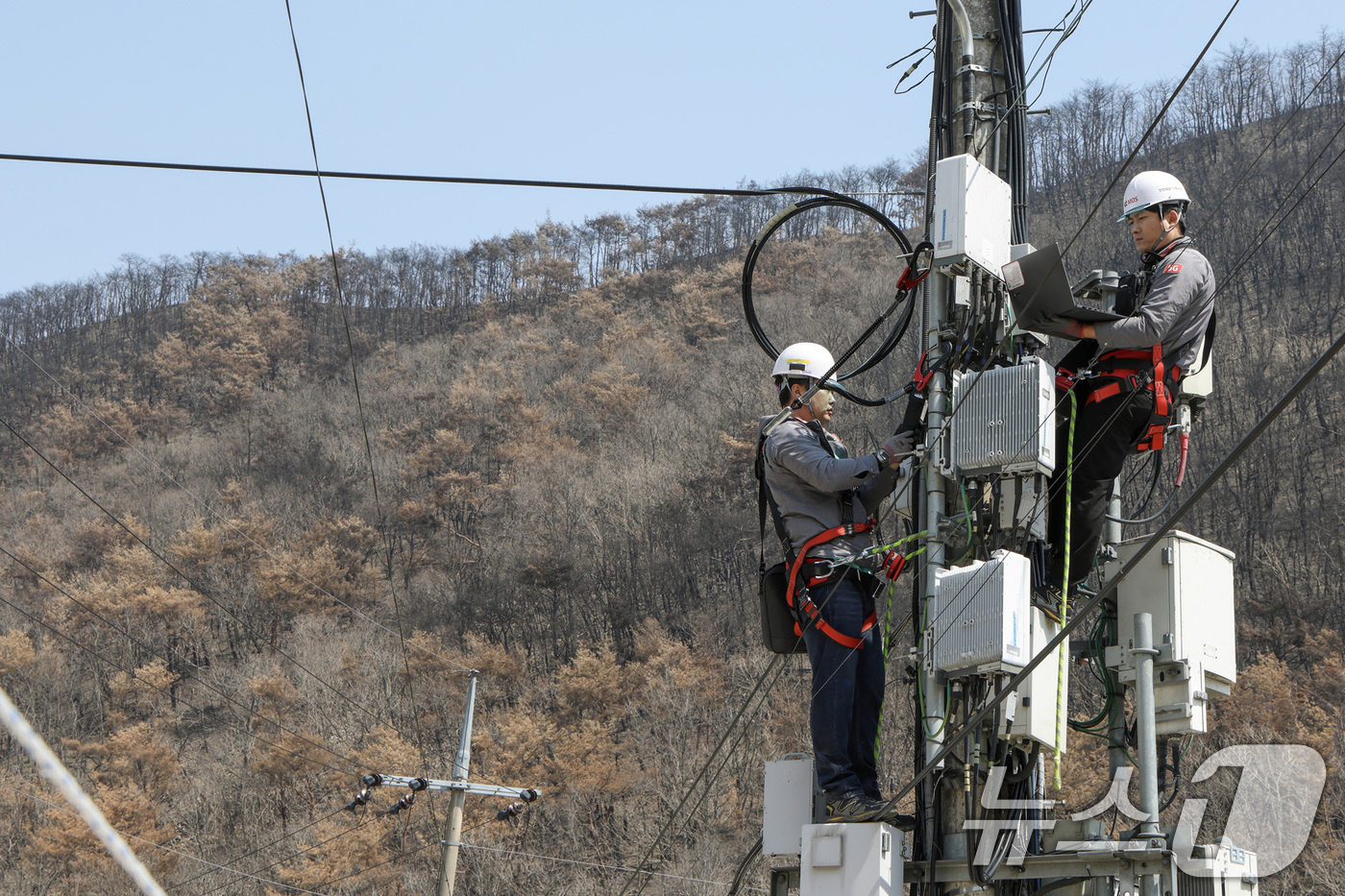 (서울=뉴스1) 신웅수 기자 = 27일 경북 안동시 임하면 일대에서 KT 직원이 통신 시설 복구 작업을 하고 있다.KT는 최근 경북지역에서 발생한 초대형 산불로 피해를 입은 통신시 …