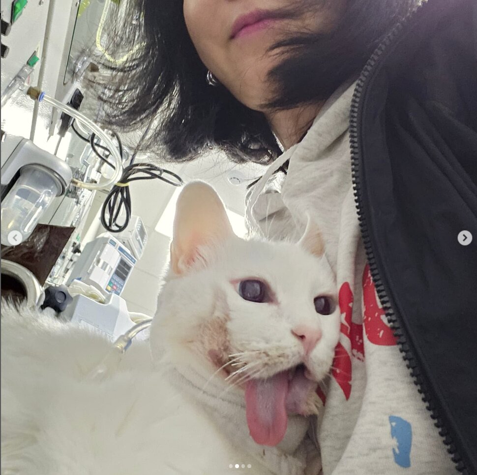 본문 이미지 - 김정난 인스타그램 캡처