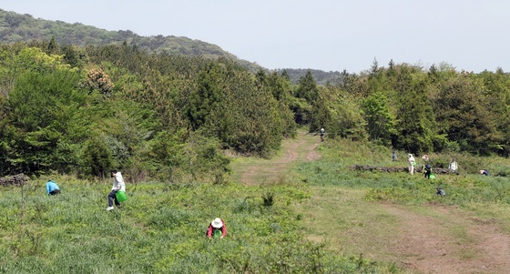 제주소방 "고사리철 길 잃음 사고 4월에 72%…안내 표식 확대 설치"