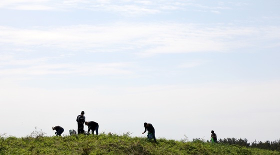 고사리 캐던 80대 할머니 길 잃어…드론·구조견이 2시간 만에 찾았다