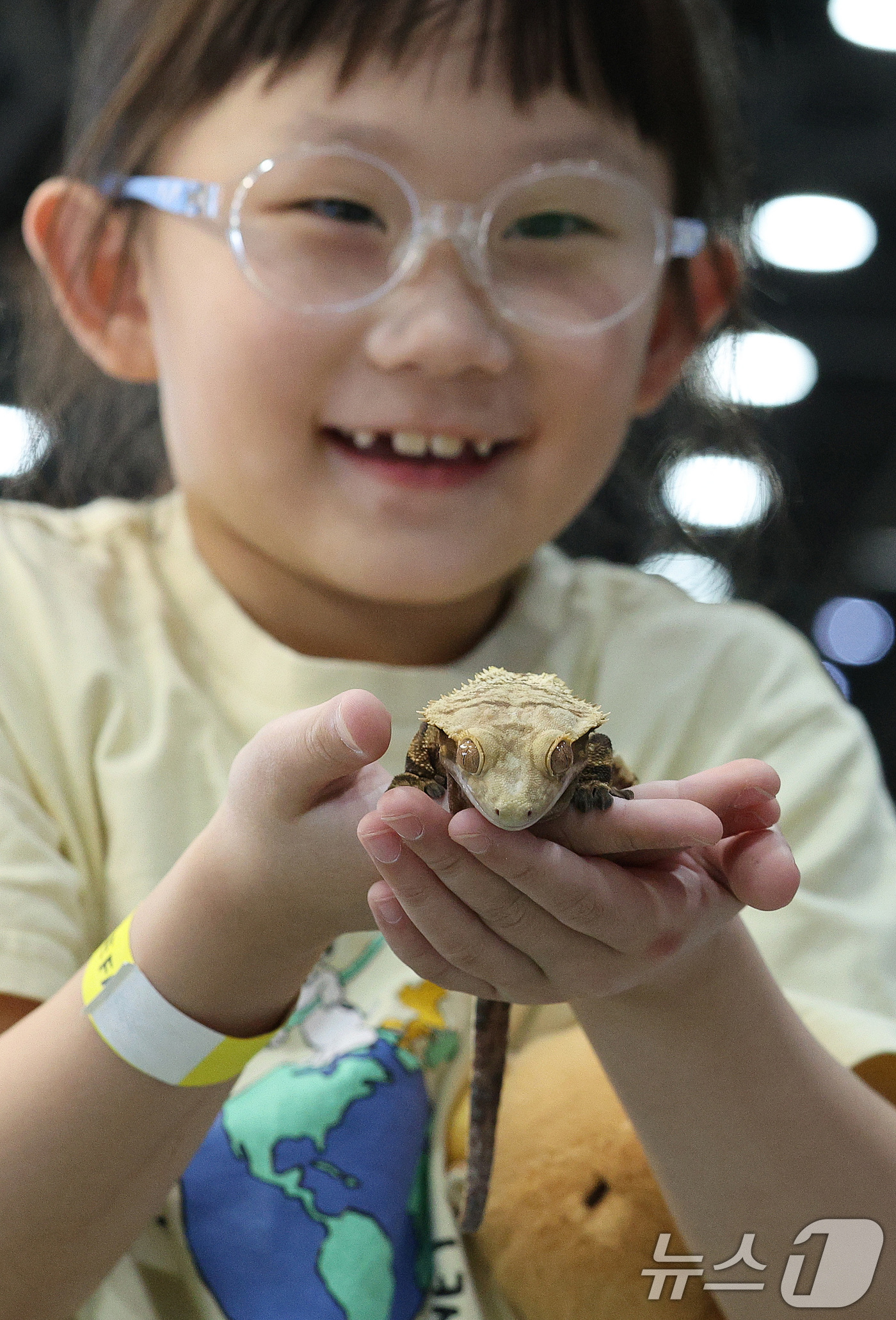 (서울=뉴스1) 신웅수 기자 = 27일 서울 서초구 aT센터에서 열린 파충류 박람회 'K렙타일페어'에서 관람객들이 이색 애완동물을 만져보고 있다. 2025.4.27/뉴스1
