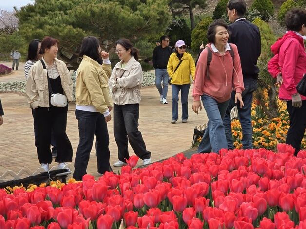 [오늘의 날씨] 충북·세종(28일, 월)…낮 최고 19~21도…강풍 주의