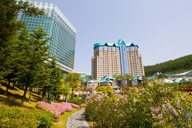 대표없이 실적·고객·투자 모두 '사상 최대' 기록한 강원랜드