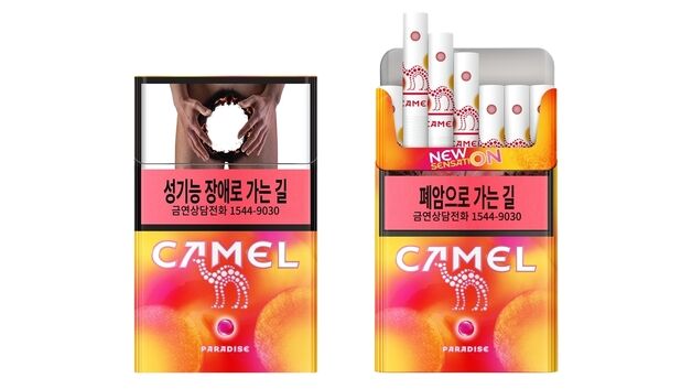 JTI, 트로피컬 캡슐 더해진 '카멜 파라다이스 3㎎' 킹사이즈 출시