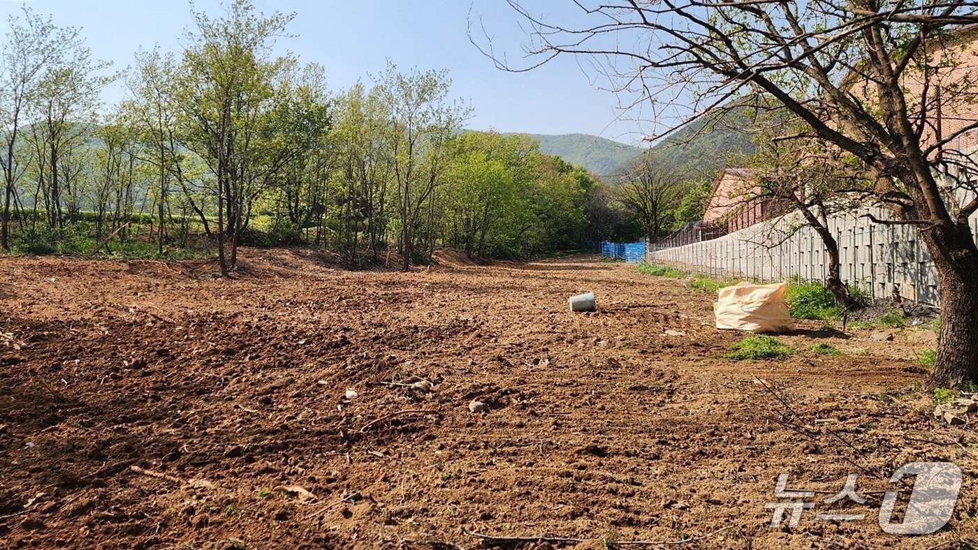 본문 이미지 - 경주시 안강읍 산대리의 한 야산에 20여년간 생활폐기물 등이 쌓여 방치됐다 최근 말끔히 정리된 모습.(경주시 제공, 제판매 및 DB 금지) 2025.4.28/뉴스1 