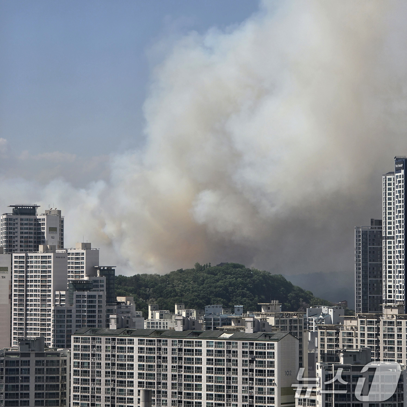 (대구=뉴스1) 공정식 기자 = 28일 오후 2시 1분쯤 대구 북구 노곡동 함지산에서 불이 나 연기가 바람을 타고 도심으로 번지고 있다. 2025.4.28/뉴스1