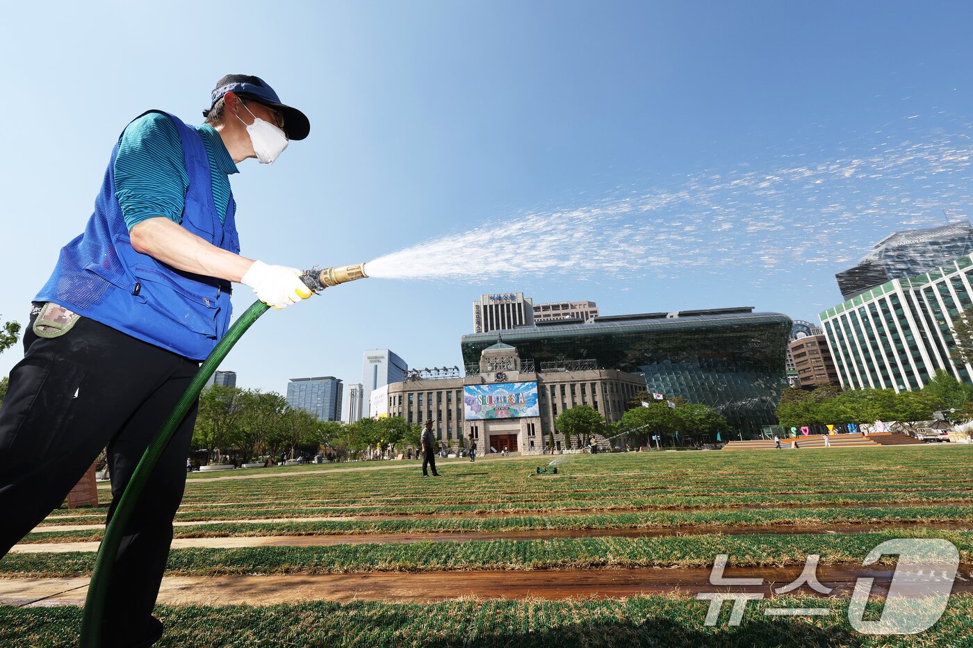 본문 이미지 - 28일 시민들에게 공개된 서울 중구 서울광장에서 관계자가 잔디에 물을 뿌리고 있다.  2025.4.28/뉴스1 ⓒ News1 장수영 기자