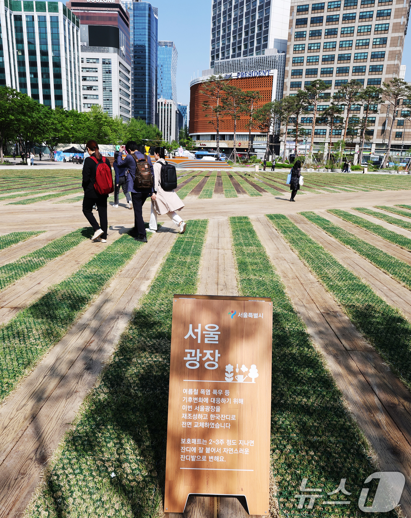 (서울=뉴스1) 장수영 기자 = 28일 시민들에게 공개된 서울 중구 서울광장의 모습.서울광장 바닥에 우리 기후 특성에 맞는 난지형 잔디(한국형잔디)로 교체하고 잔디 사이에는 나무길 …